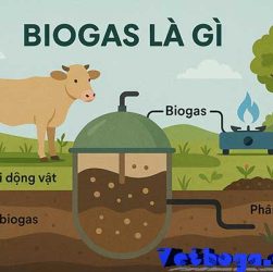 biogas-la-gi-giai-ma-nguon-nang-luong-sach-ban-chua-bie5t