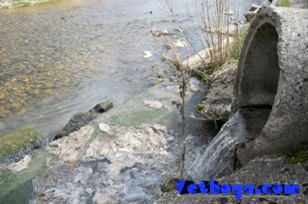 Nguyên nhân khiến bể phốt nhanh đầy và cần hút sớm