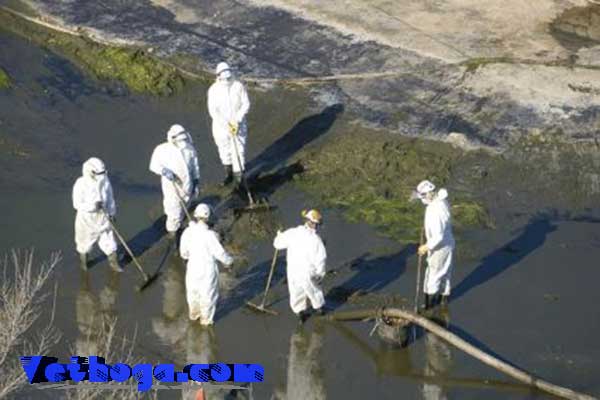 Tiêu chí lựa chọn đơn vị hút bể phốt chuyên nghiệp