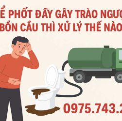Bể phốt đầy gây trào ngược bồn cầu thì xử lý thế nào?