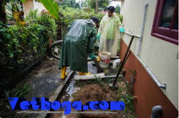 Những lưu ý quan trọng trong quá trình hút bể phốt