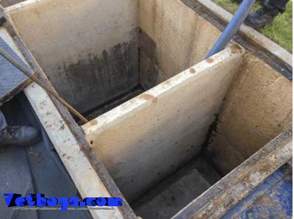 Mẹo bảo dưỡng bể phốt giúp kéo dài tuổi thọ