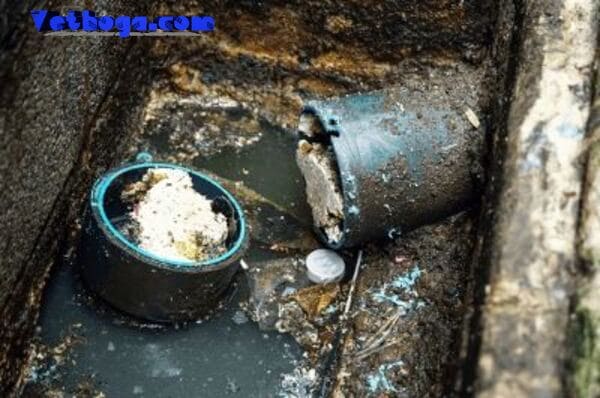 Dấu hiệu nhận biết bể phốt đang bị tắc