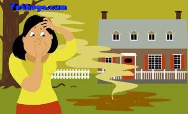 Tắc bể phốt làm thế nào? Các cách xử lý đơn giản tại nhà
